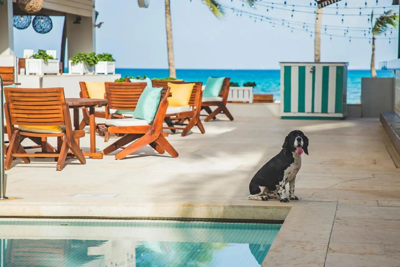 Thompson Playa Del Carmen Beach House, By Hyatt Мексика